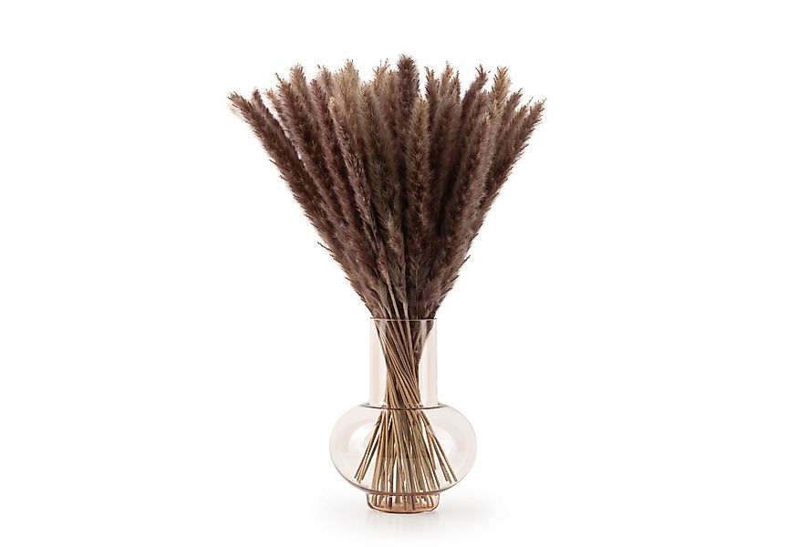 Kunstpflanze getrocknet - Trockenblumen, Ideales Dekoelement Pampasgras, Bl günstig online kaufen