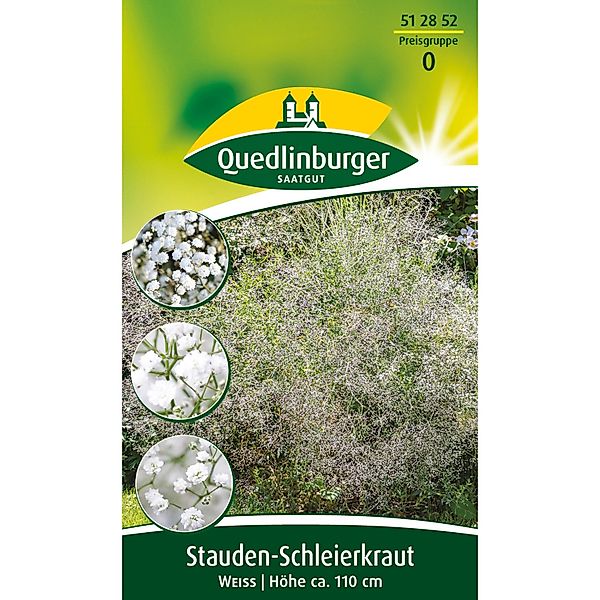 Quedlinburger Stauden-Schleierkraut Weiß günstig online kaufen