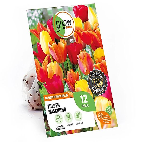 GROW by OBI Tulpen Mischung Nr. 2 / 12 Stück Tulipa mix günstig online kaufen