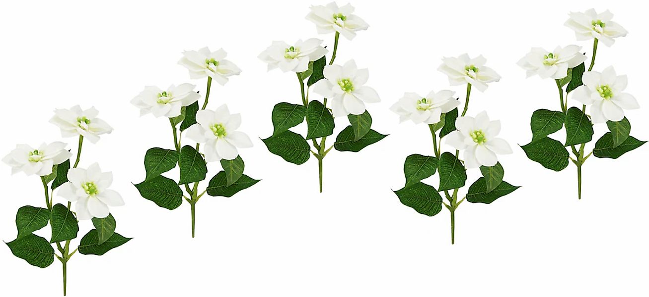I.GE.A. Kunstblume "Poinsettie", Künstlicher Poinsettiazweig, 5er Set günstig online kaufen