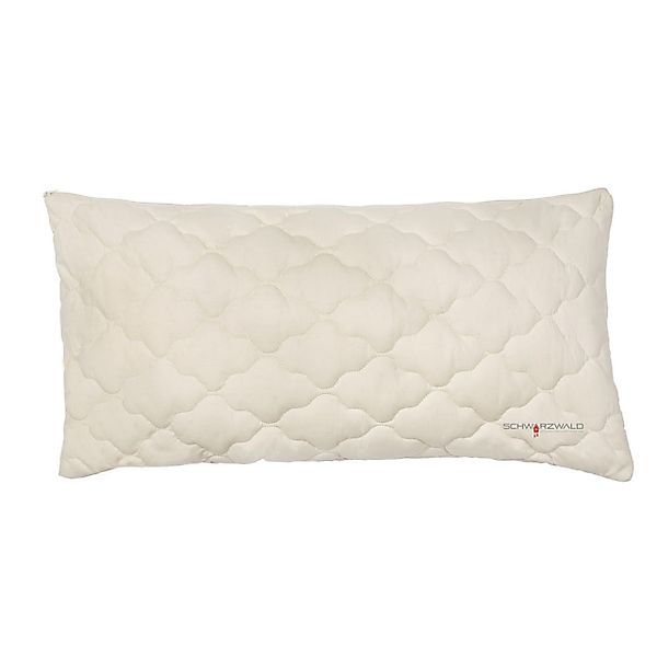 OBB Kopfkissen OBB Hirsekissen Nana Hirseschalen günstig online kaufen