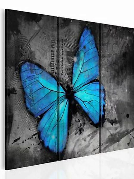 artgeist Wandbild Studie des Schmetterlings - Triptychon mehrfarbig Gr. 60 günstig online kaufen