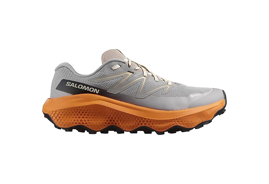 Salomon ULTRA FLOW 2 GORE-TEX Laufschuh wasserdicht günstig online kaufen