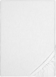 Biberna Spannbettlaken Biber in Gr. 70x140 günstig online kaufen