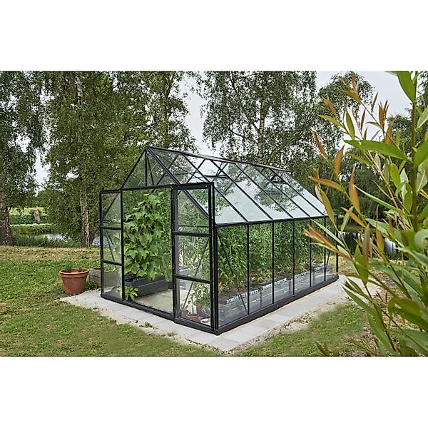 Halls Gewächshaus Universal Schwarz 9,9 m² günstig online kaufen