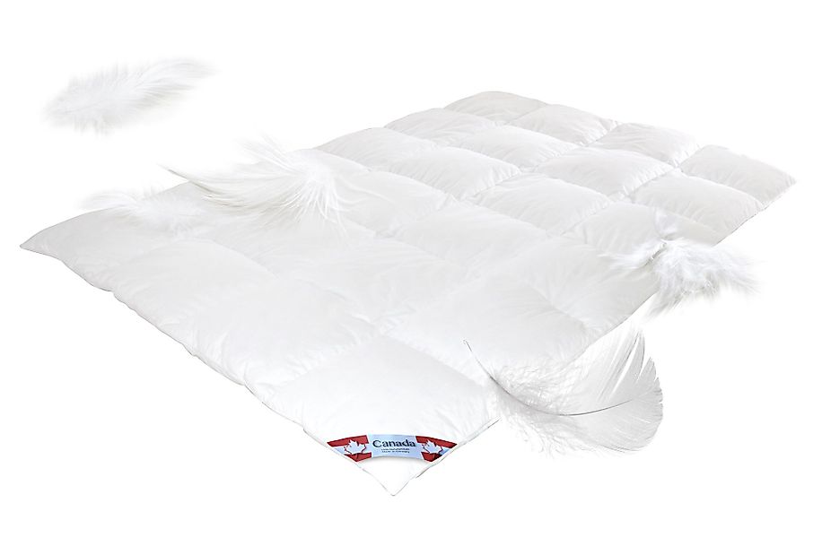 Canada Daunenbettdecke Mega Preis Daunendecke 100% günstig online kaufen
