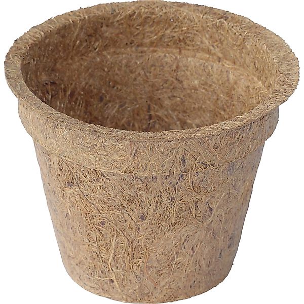 Proflora Kokosfaser Anzucht-Pflanztopf 0,30, (20 Töpfe) günstig online kaufen