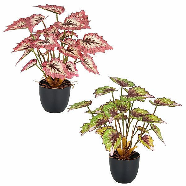 Creativ green Kunstpflanze "Begonia rex", mit außergewöhnlicher Blattzeichn günstig online kaufen