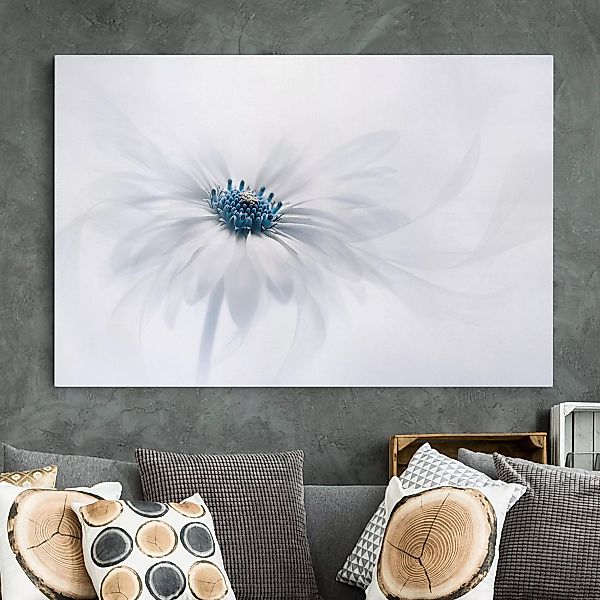 Leinwandbild Blumen - Querformat Gänseblümchen in Blau günstig online kaufen