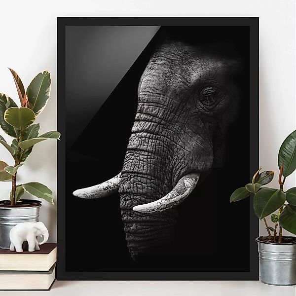 Bild mit Rahmen Schwarz-Weiß - Hochformat Dunkles Elefanten Portrait günstig online kaufen