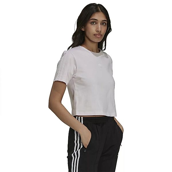 Adidas Originals Cropped Kurzarm T-shirt 32 Pearl Amethyst günstig online kaufen