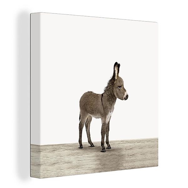 OneMillionCanvasses® Leinwandbild Esel - Tiere - günstig online kaufen