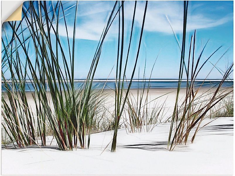 Artland Wandbild "Düne", Strand, (1 St.) günstig online kaufen