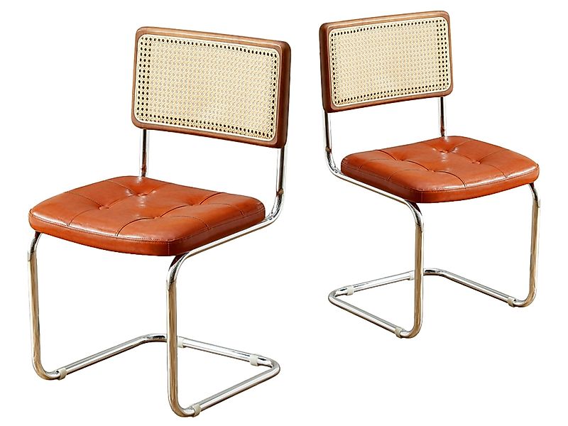 SeedWave Freischwinger 2er-Set Retro Esszimmerstühle im günstig online kaufen