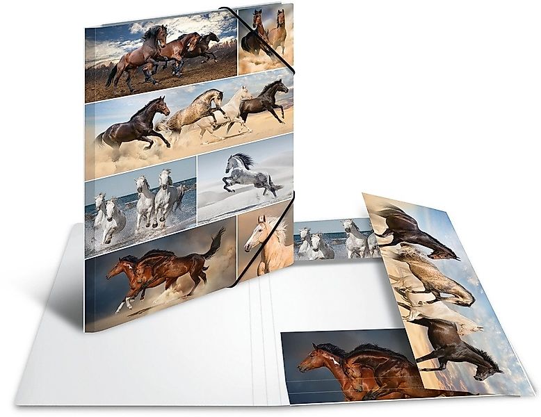 HERMA Fächermappe Sammelmappe A3 Pappe Pferde. günstig online kaufen
