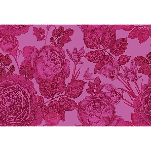 Fototapete Blumen Rosen Pink Rot 4,00 m x 2,70 m FSC® günstig online kaufen