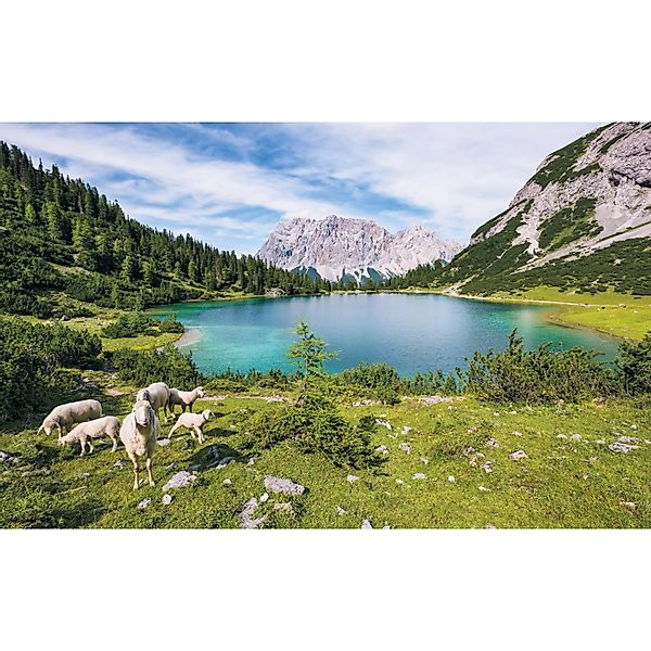 Komar Fototapete Vlies Paradise Lake  400 x 250 cm günstig online kaufen