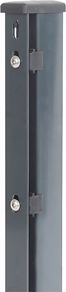 Alberts Zaunpfosten, 60x40 mm für Doppelstabmattenzaun, 240 cm, mit Flachei günstig online kaufen