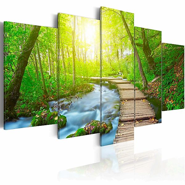 Wandbild - Sunny Forest günstig online kaufen