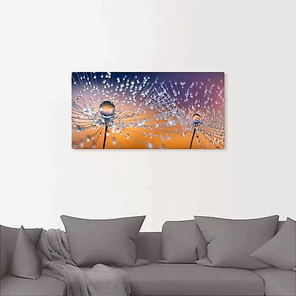 Artland Wandbild "Pusteblumen Tautropfen", Blumenbilder, (1 St.), als Alubi günstig online kaufen