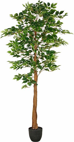 Creativ green Kunstbaum "Ficus Benjamina", mit naturgetreuem Blattwerk und günstig online kaufen