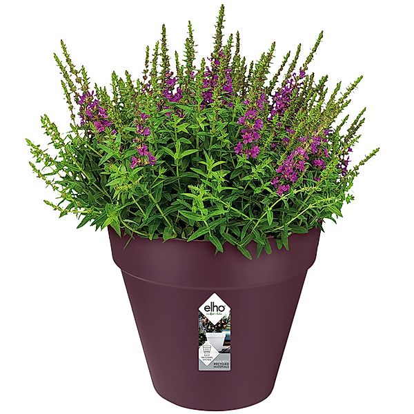 Blumentopf Maulbeere Matt 25x22cm 5,5L günstig online kaufen