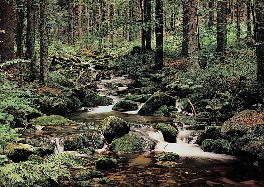 Papermoon Fototapete "Nature" glatt günstig online kaufen
