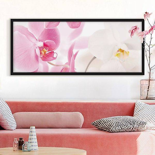 Bild mit Rahmen - Panorama Delicate Orchids günstig online kaufen