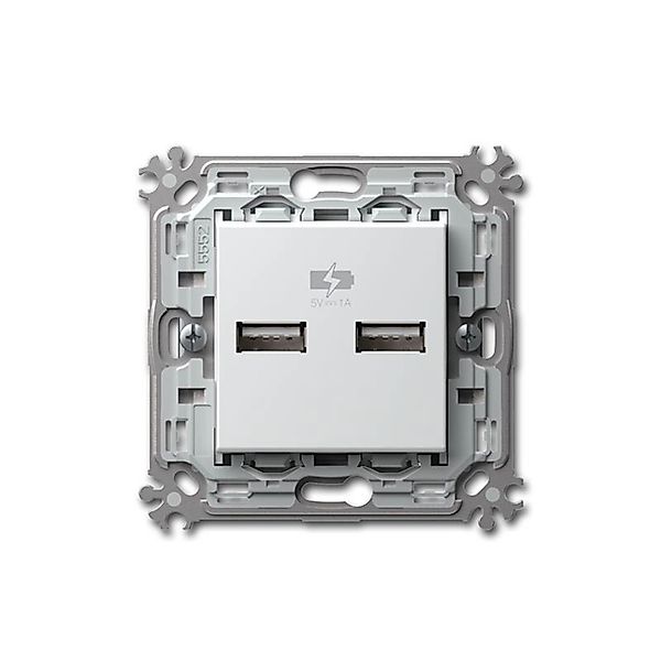 TEM MODUL PLUS 2-Fach USB Ladesteckdose Weiß 5V1A günstig online kaufen