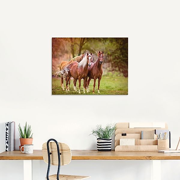 Artland Glasbild »Pferde in den Feldern I«, Haustiere, (1 St.), in verschie günstig online kaufen