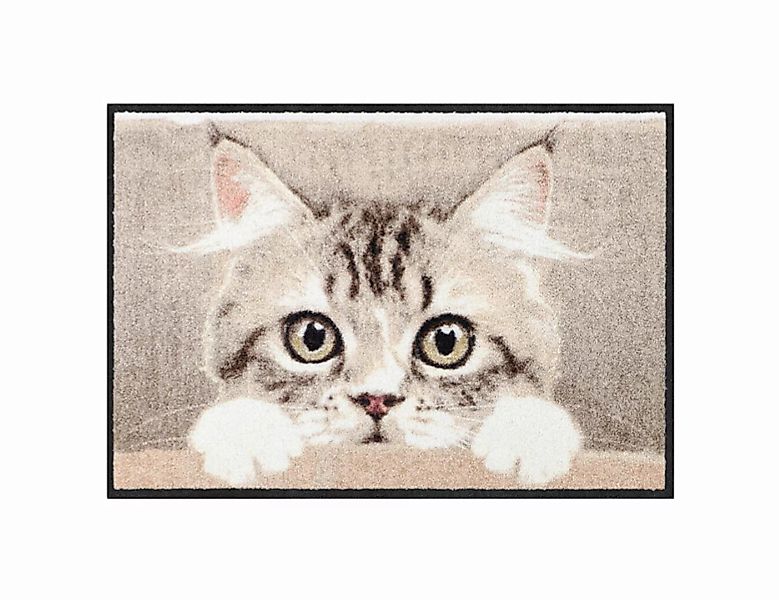 Fußmatte Nosy Cat günstig online kaufen