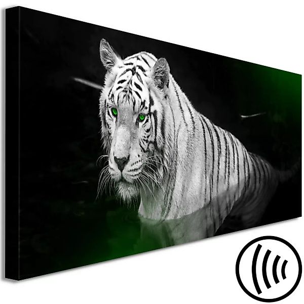 Leinwandbild Weißer Tiger im Wasser - Foto von Tieren mit grünen Augen XXL günstig online kaufen