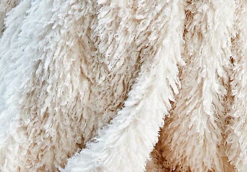 Fellkissen - Tibetlamm ivory 30 x 50 cm günstig online kaufen
