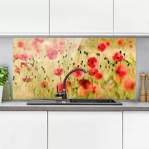 Glas Spritzschutz Blumen - Querformat 2:1 Summer Poppies günstig online kaufen