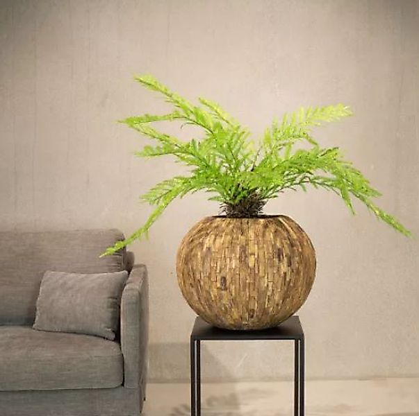 Woody Pflanzgefäß  in Cemani-Holz Ø 70 cm, Höhe 56 cm günstig online kaufen