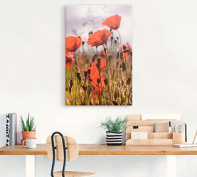 Artland Wandbild »Mohnblumen im Morgenlicht«, Blumenwiese, (1 St.), als Alu günstig online kaufen