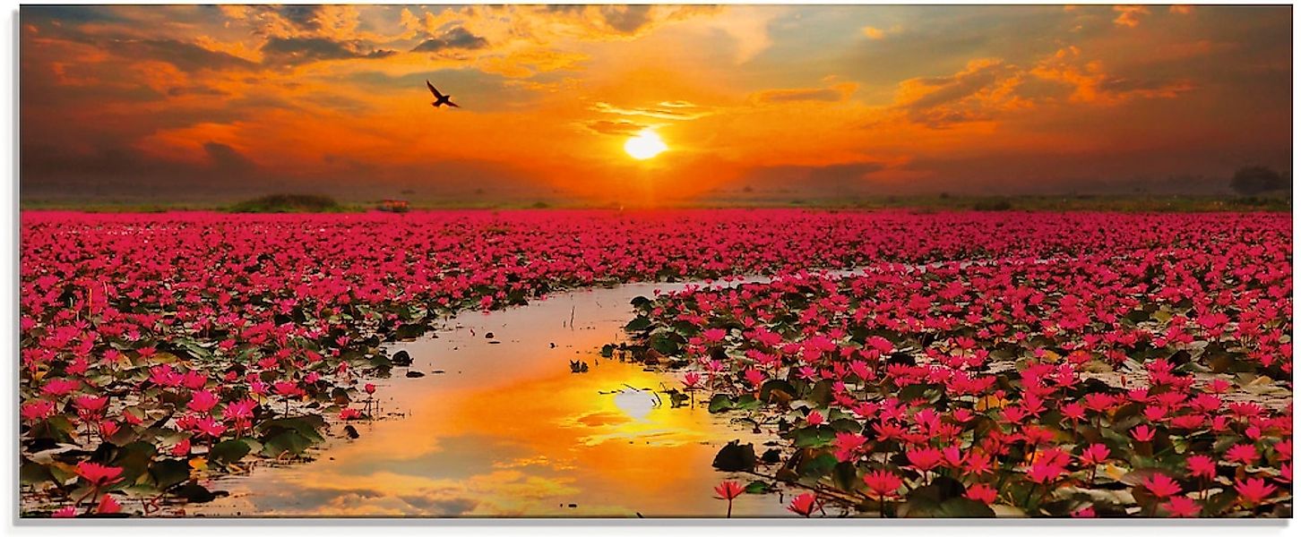 Artland Glasbild "Sonnenschein blühende Lotusblume" 1 Stk. tlg. in verschie günstig online kaufen