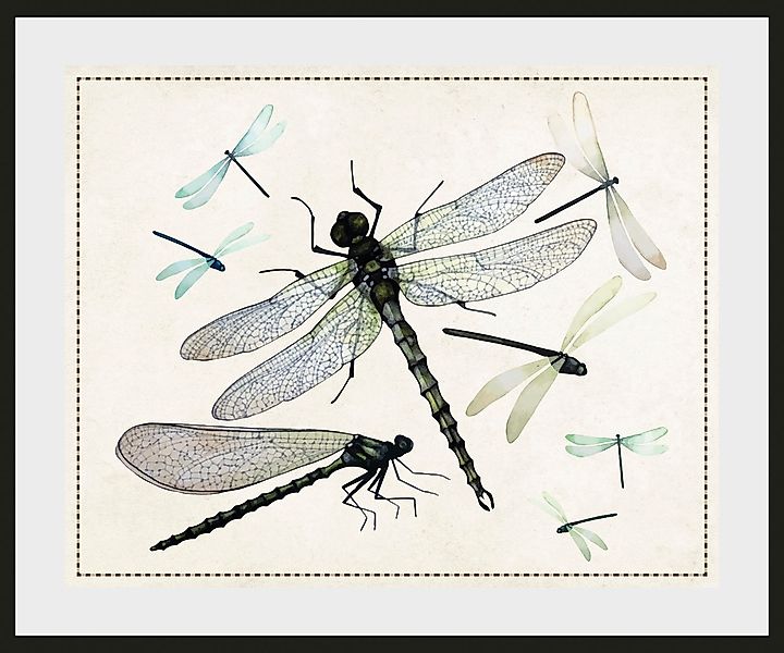 queence Bild »Lola«, Insekten-historische Ereignisse-Kunst, (1 St.), HD Pre günstig online kaufen