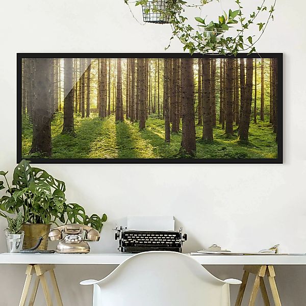 Bild mit Rahmen Natur & Landschaft - Panorama Sonnenstrahlen in grünem Wald günstig online kaufen