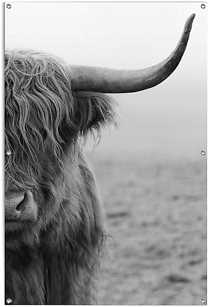 Reinders Poster "Highlander Bulle" leichtes und wasserfestes Gartenposter f günstig online kaufen