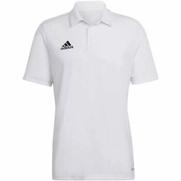 adidas  T-Shirts & Poloshirts - günstig online kaufen