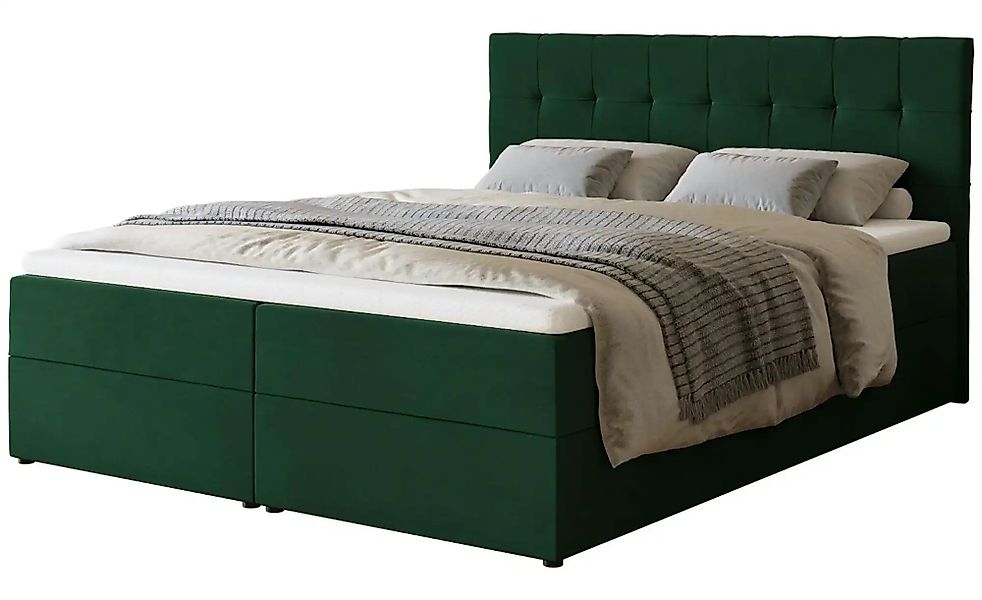 Boxbett mit Bettkasten und Topper Dartford ¦ grün ¦ Maße (cm): B: 160 H: 10 günstig online kaufen