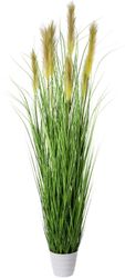 Kunstgras, Creativ green, Höhe 180 cm günstig online kaufen