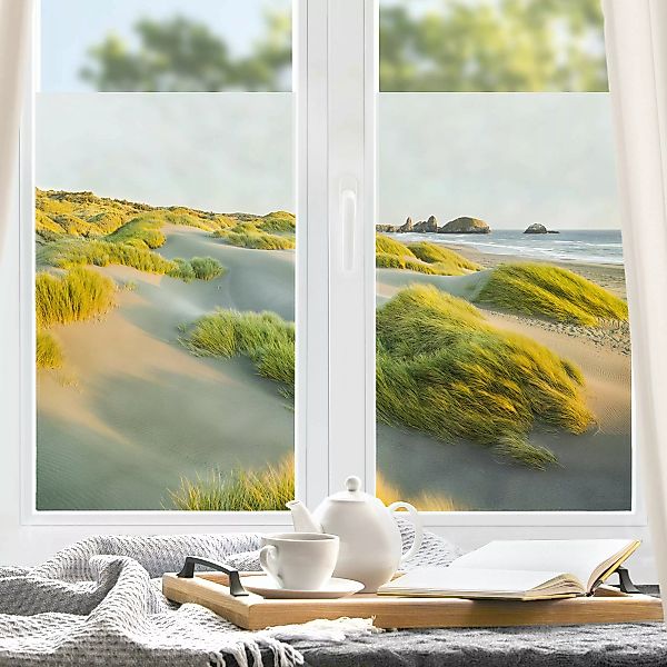 Fensterfolie Dünen und Gräser am Meer günstig online kaufen