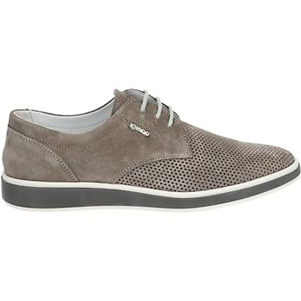 IGI & CO Schnürschuh "IGI & CO Halbschuhe Veloursleder" günstig online kaufen