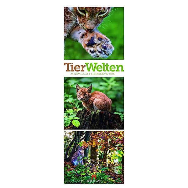 Tierwelten Triplet-Kalender 2026 günstig online kaufen