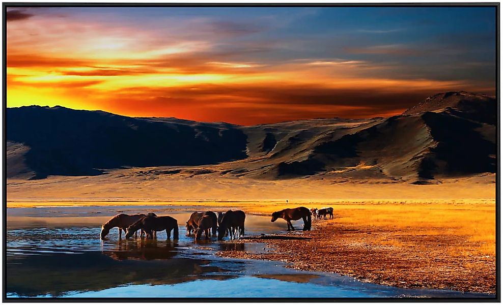 Papermoon Infrarotheizung »Mongolische Pferde« günstig online kaufen