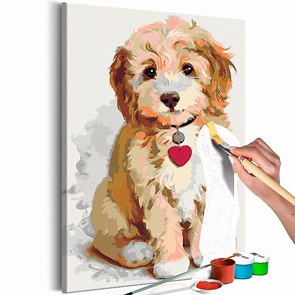 Malen Nach Zahlen - Hund (welpe) günstig online kaufen