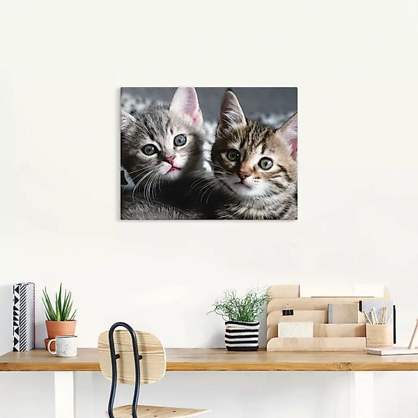 Artland Wandbild »Katze«, Haustiere, (1 St.) günstig online kaufen