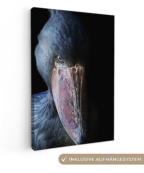 OneMillionCanvasses® Leinwandbild Mysteriöser Schuhschnabel, Fotodruck (1 günstig online kaufen